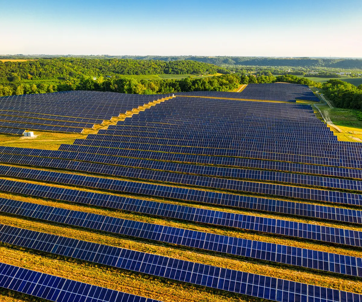 Vista aérea de usina solar cercada por vegetação e faixa de gramado
